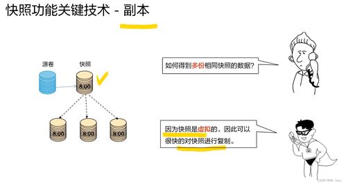 存儲數(shù)據(jù)保護技術與應用 構建可信的數(shù)據(jù)處理與存儲服務基石